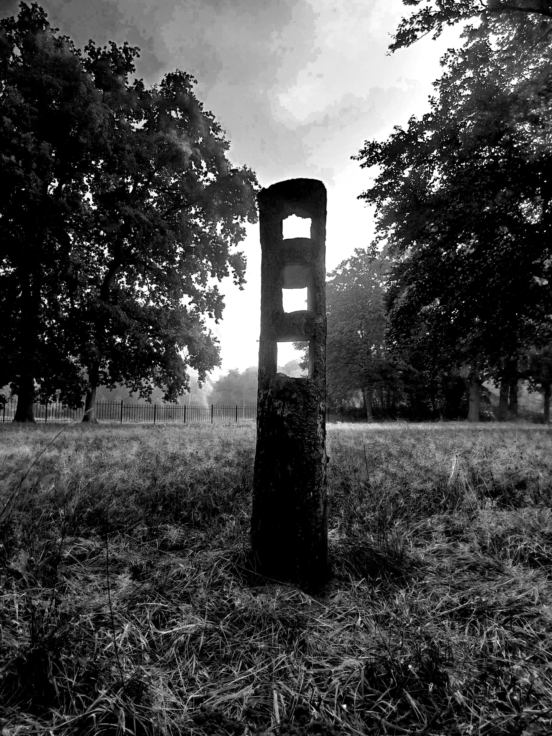 Een gesnoeid verleden I