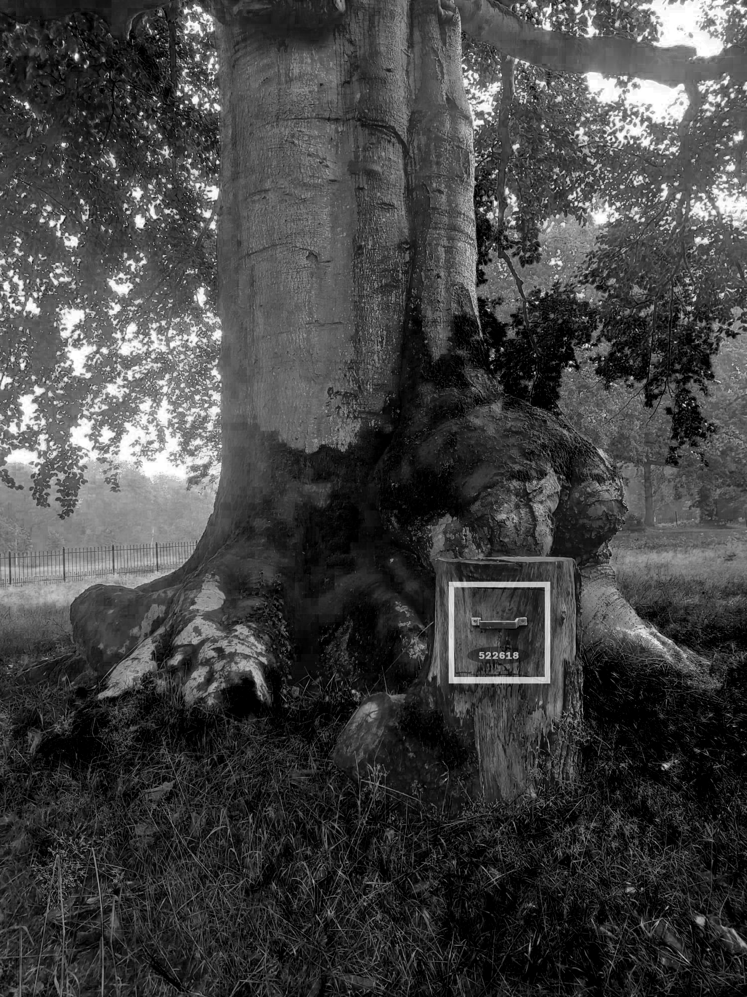 Een gesnoeid verleden II